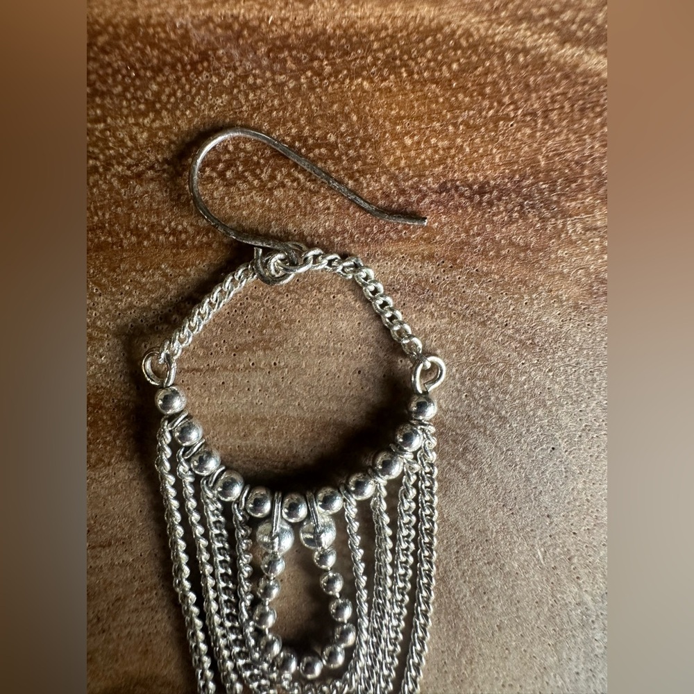 Chic Silver Dangle Earrings - image 4